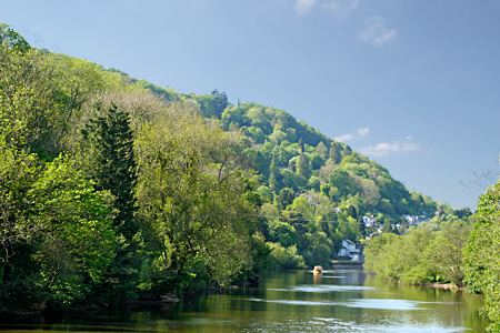 The River Wye at Symonds Yat